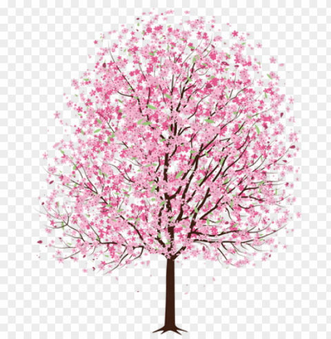 cherry blossom tree cherry blossom drawing cherry - tree with pink flowers drawi High-resolution transparent PNG images assortment