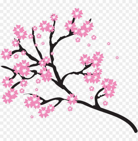 cherry blossoms - transparent background cherry blossom clipart PNG Image with Clear Isolation