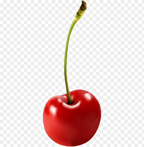 cherry clipart Isolated Object in Transparent PNG Format PNG transparent with Clear Background ID cc533623