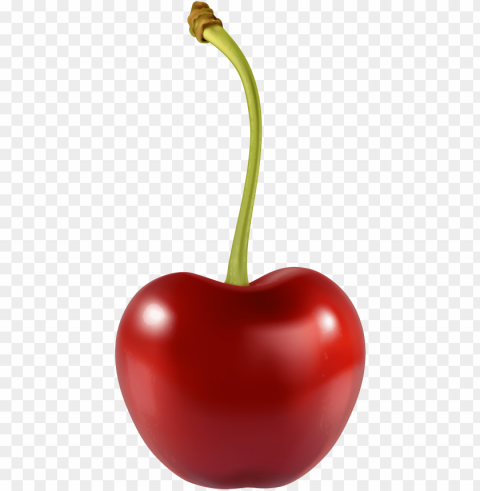 cherry best web - cherry Clear background PNG graphics