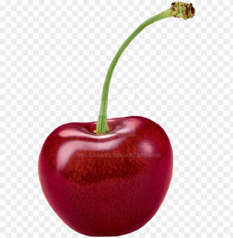 cherry pic - cherry fruit background Transparent PNG images bundle