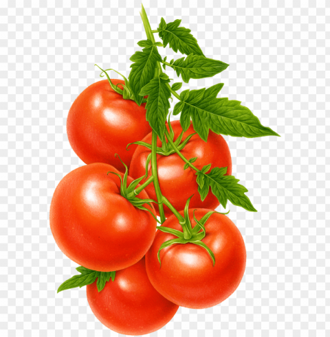 cherry tomato a fruit or vegetable Transparent PNG images set