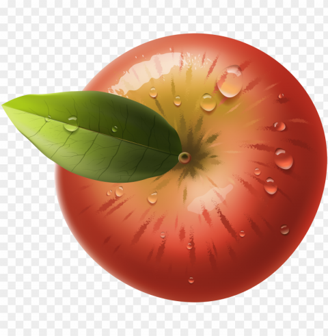 cherry tomatoes Free PNG images with alpha transparency