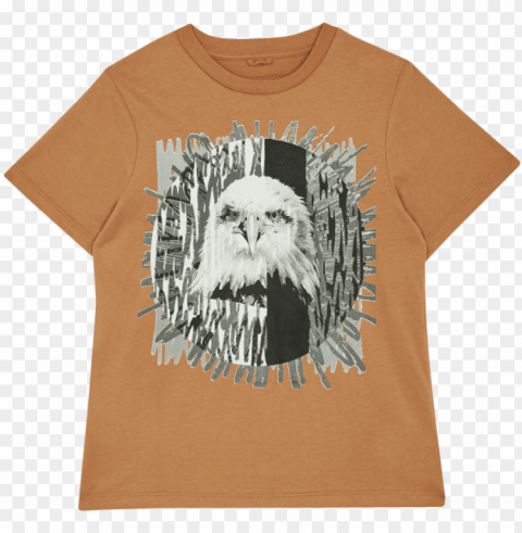 chewbacca Transparent Background Isolation in HighQuality PNG