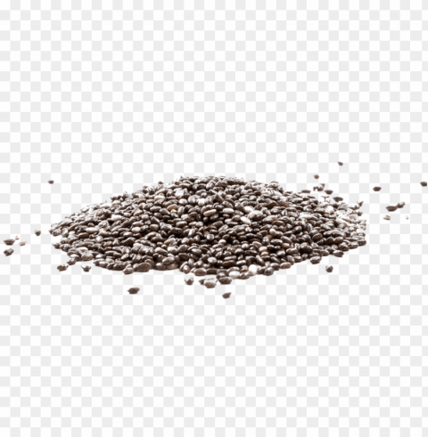 chia seeds - chia seeds argentina Transparent PNG image free