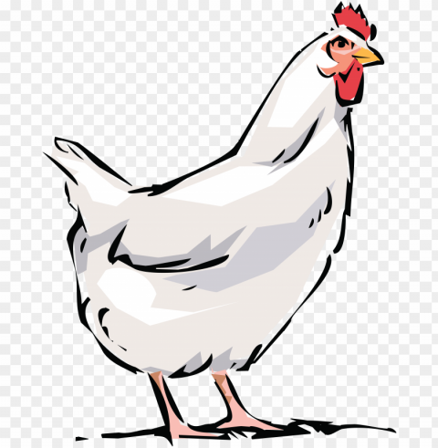 chicken Transparent background PNG photos PNG transparent with Clear Background ID 7fba06c3