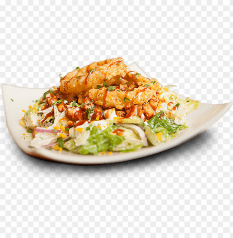 chicken fried rice plate PNG transparency