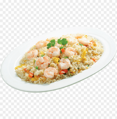 Chicken Fried Rice Plate PNG Transparent Icons For Web Design