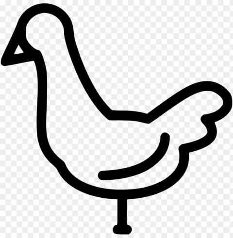 chicken icon - chicken icon no Isolated Element with Transparent PNG Background