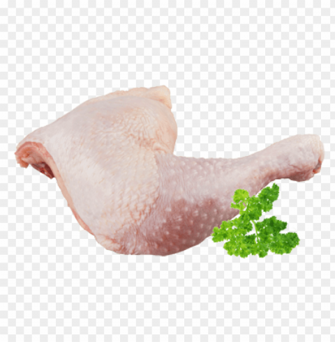 chicken leg PNG images with transparent space PNG transparent with Clear Background ID 16a6ed2b
