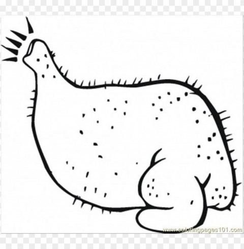 chicken meat coloring page PNG for online use