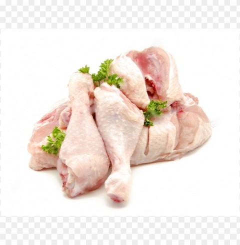 Chicken Meat Pictures Isolated Design Element In HighQuality Transparent PNG