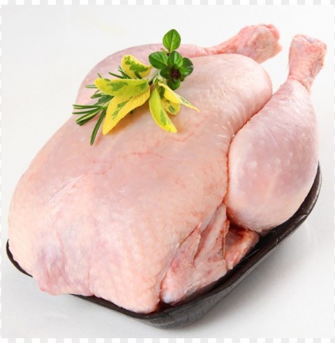 Chicken Meat Pictures Isolated Design Element In PNG Format