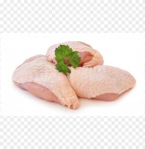 Chicken Meat Pictures Isolated Graphic Element In Transparent PNG