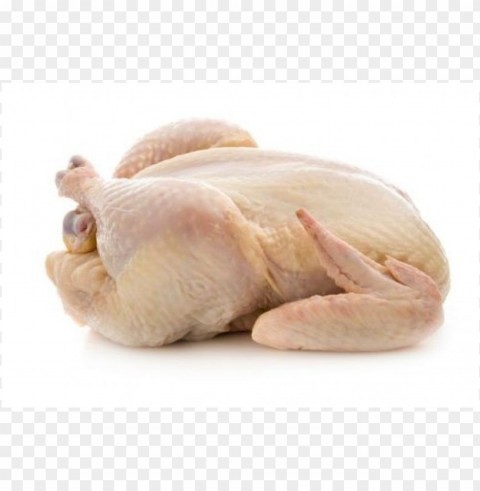 chicken meat pictures PNG images with alpha transparency free PNG transparent with Clear Background ID 3b275abc