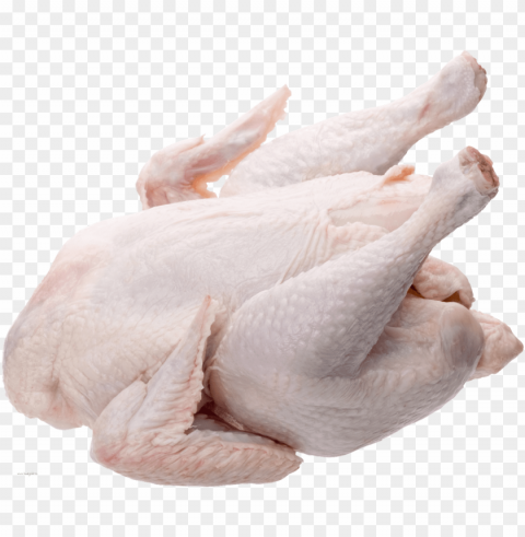 chicken meat Transparent Background Isolation of PNG