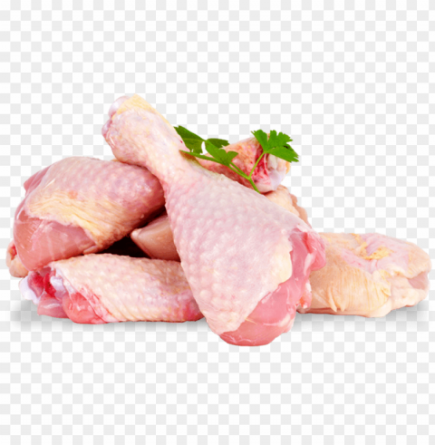 chicken meat Transparent Background PNG Isolated Design