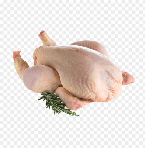 Chicken Meat Isolated Character In Clear Background PNG