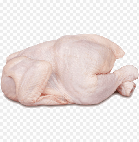chicken meat transparent library - chicken meat Clear Background PNG Isolation