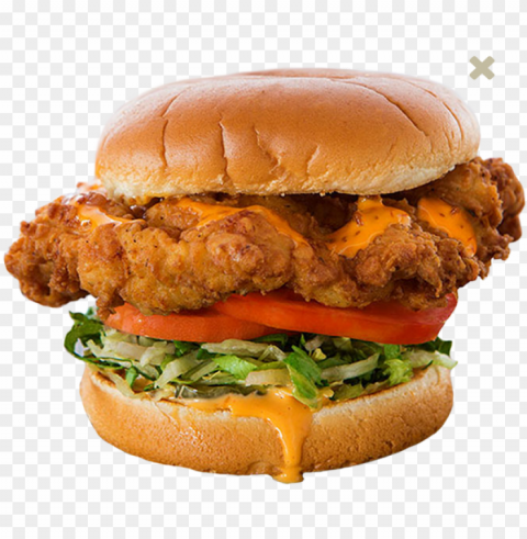 chicken sandwich photo - golden fried chicken sandwich habit PNG high resolution free