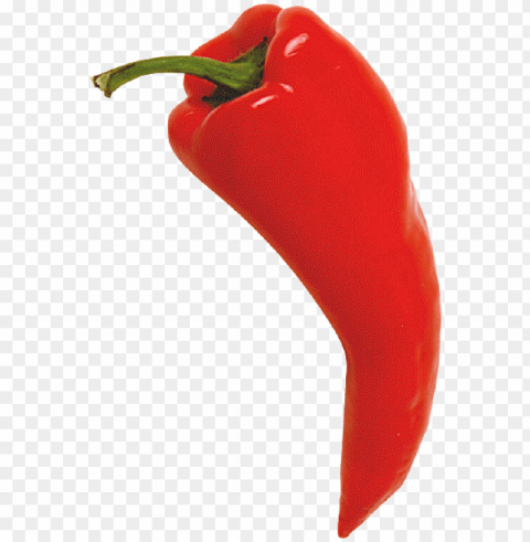chili pepper red - chili pepper Clear PNG pictures bundle