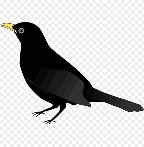 chimney swift clipart vector clip art online royalty - blackbird clipart Transparent background PNG images selection