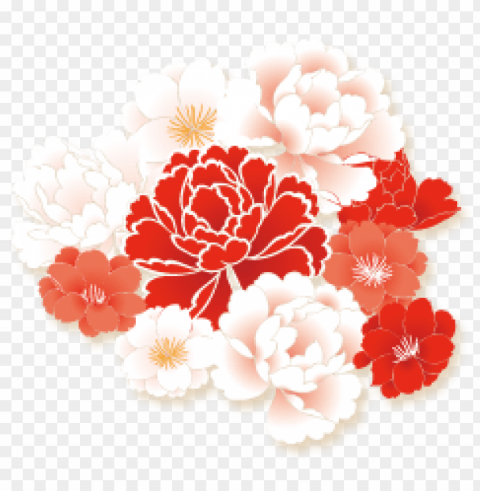 chinese new year lotus PNG with isolated background