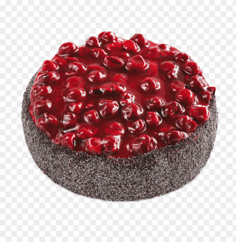 chocolate cake food PNG Image with Transparent Isolated Design