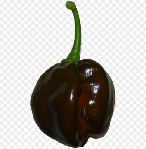 chocolate habanero - chili pepper High-resolution transparent PNG images comprehensive assortment