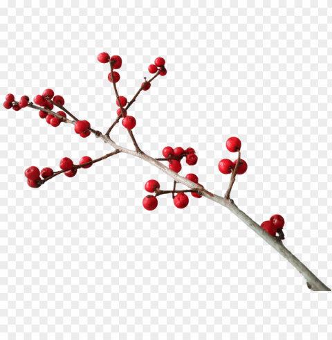 christmas branch decoration Transparent Background Isolated PNG Illustration