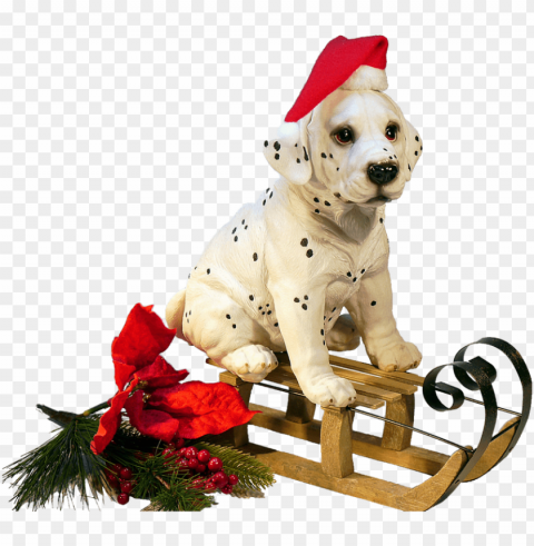 christmas dog on a sledge Transparent background PNG images selection