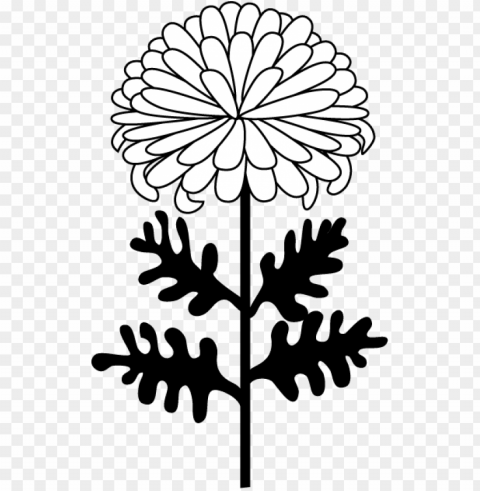 chrysanthemum clip art - mum flower clipart black and white PNG Isolated Illustration with Clarity