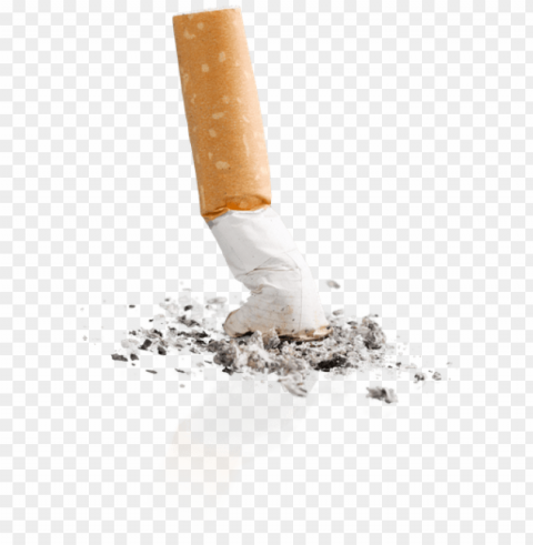 cigarette butt - cigarette butt transparent background PNG Graphic Isolated on Clear Backdrop