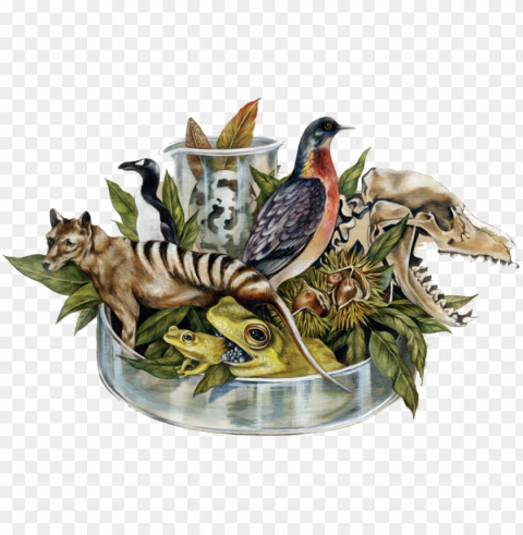 cincinnati - group of extinct animals PNG with no background free download