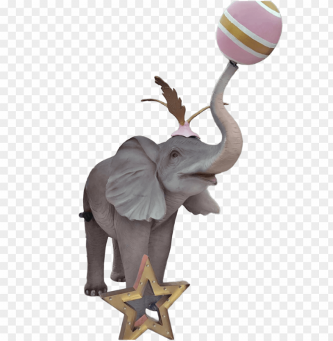 circus elephant PNG for t-shirt designs