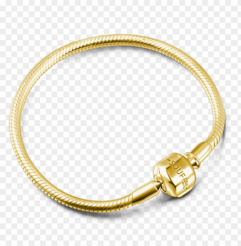 classic bracelets soufeel basic bracelet 14k gold plated PNG with cutout background