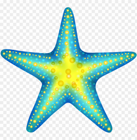  frames illustrations hd cute - starfish clipart Isolated Artwork with Clear Background in PNG