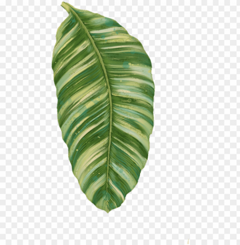 click and drag to re-position the image if desired - rainforest resort - tropical banana leaf PNG transparent images mega collection