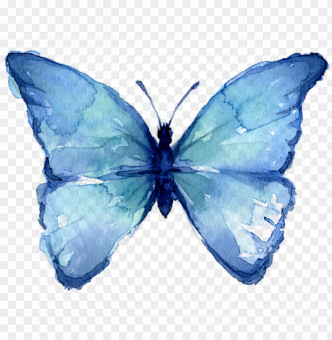 click and drag to re-position the image if desired - watercolor blue butterfly Isolated Subject in HighResolution PNG