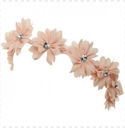 clip are flower crown Isolated Artwork on Transparent Background PNG PNG transparent with Clear Background ID fdee0f57