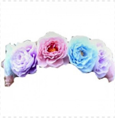 clip are flower crown Isolated Artwork on Clear Transparent PNG