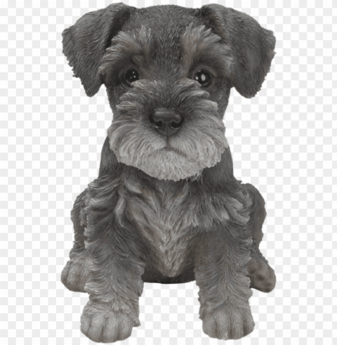 clip art free library pet pals schnauzer puppy resin - miniature schnauzer puppy Transparent PNG image