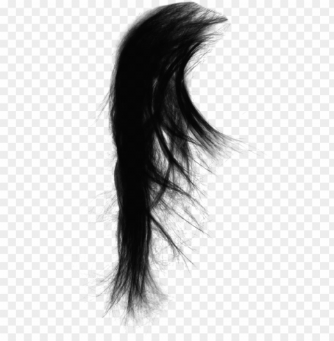 clip art freeuse stock capelli black real transprent - sk editing zone hair HighResolution Transparent PNG Isolation