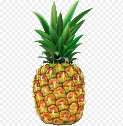 Realistic Pineapple Illustration - fruit tropical Transparent PNG Graphic with Isolated Object