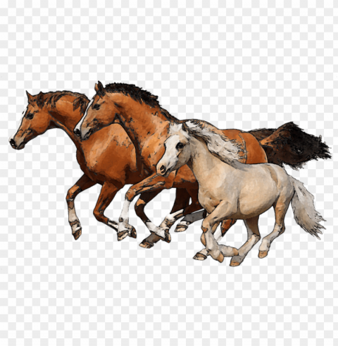 clip art of horses - running horses PNG Image with Transparent Background Isolation