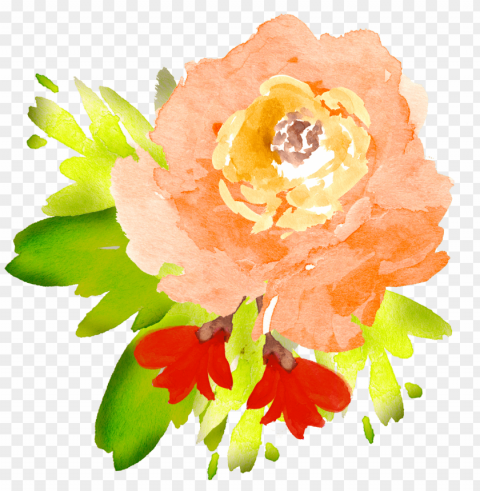clip art royalty free library free floral elements - flowers watercolor orange Transparent PNG images bundle