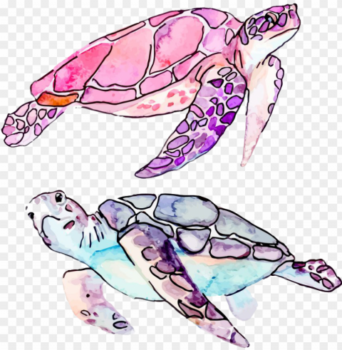 clip art sea cartoon illustration transprent free - watercolor sea turtle clipart PNG images with clear alpha channel