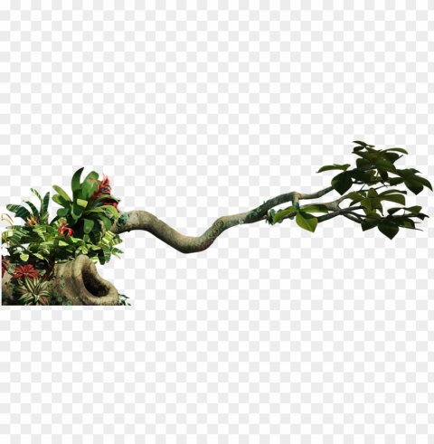 clip art transparent download jungle vine clipart - jungle PNG no background free