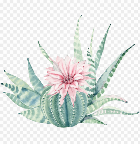 clip art download plant painting canvas - watercolor succulent flower Transparent graphics
