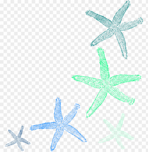 clip art transparent library starfish clip art seashell - watercolor seashell clipart PNG for educational use